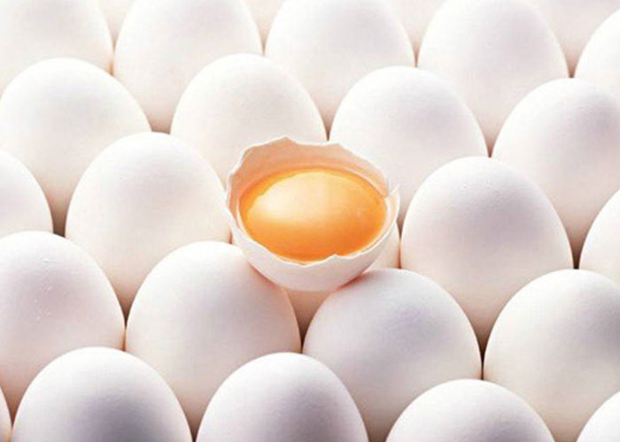 SPF鸡蛋